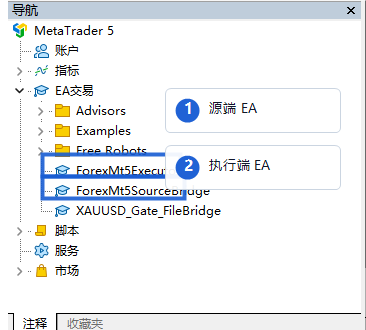 MT5 导航器里的两个 EA